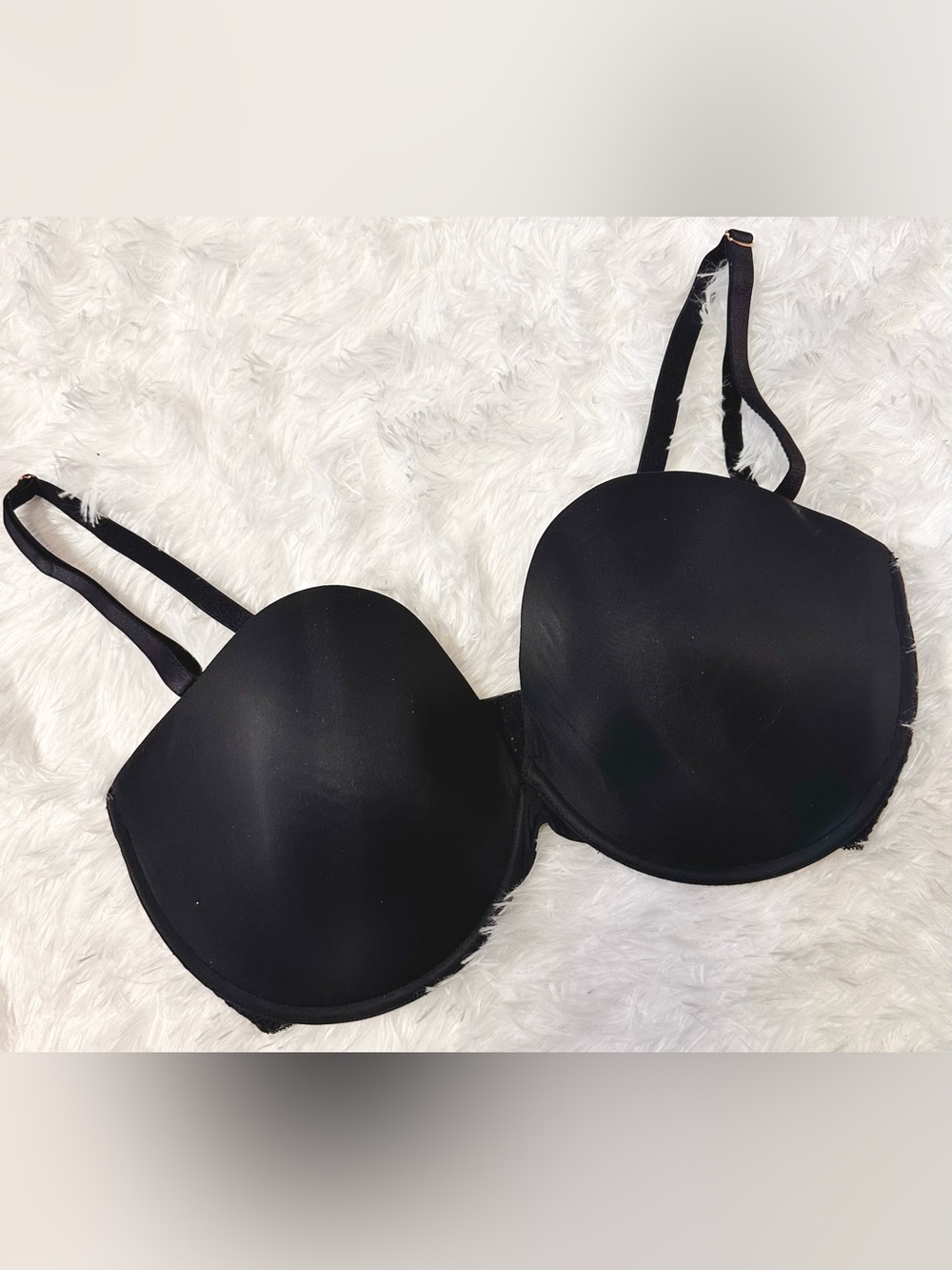 SCARLET BLUE Black T-Shirt Bra